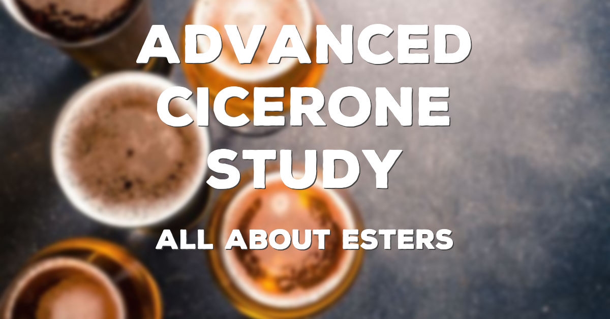 Advanced Cicerone Study: All About Esters